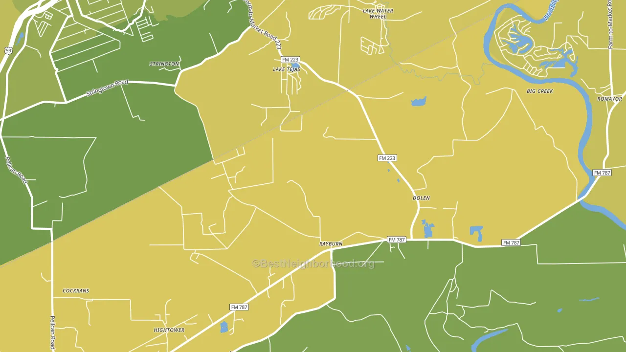 Dolen, TX block-group voter-turnout map