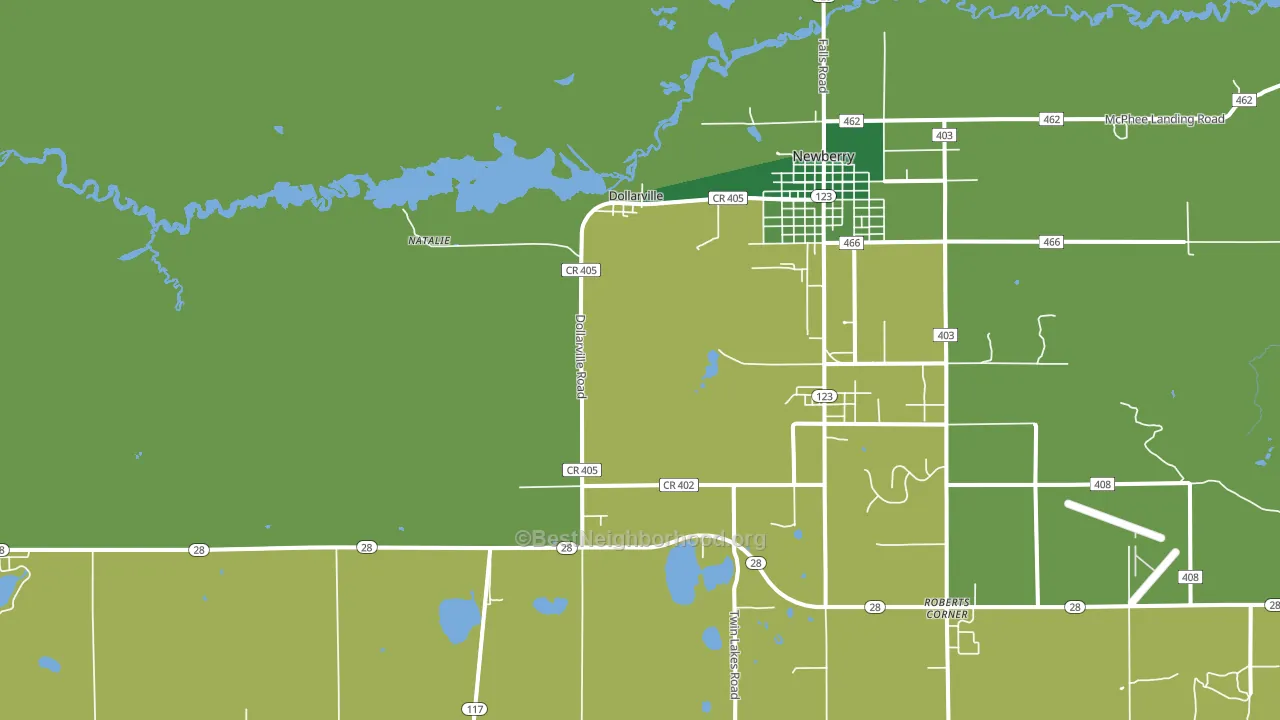 Dollarville, MI block-group voter-turnout map