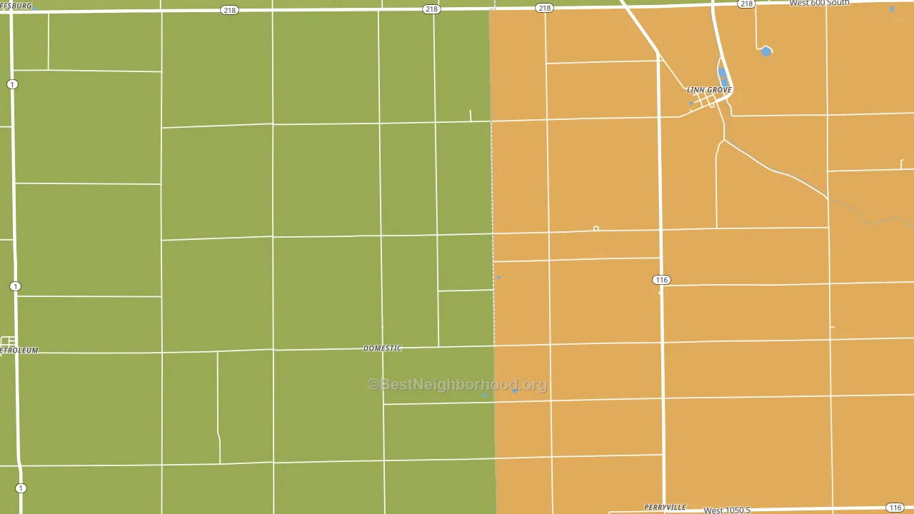 Domestic, IN block-group voter-turnout map