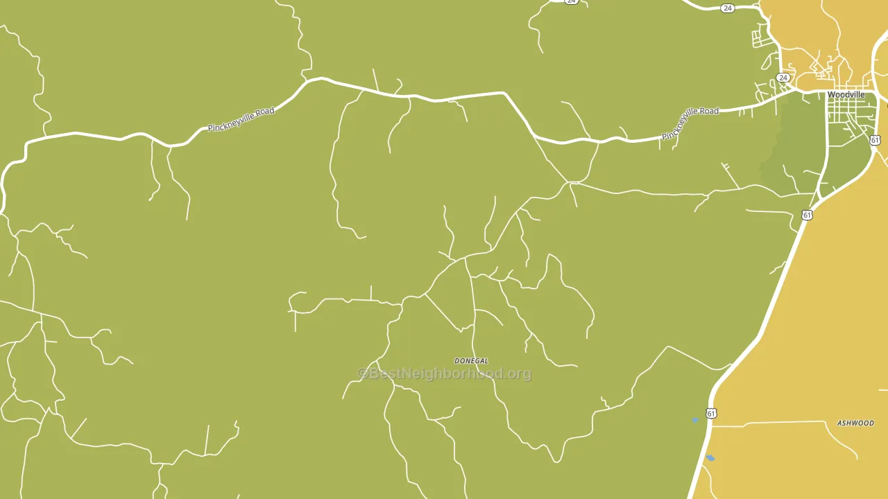 Donegal, MS block-group voter-turnout map