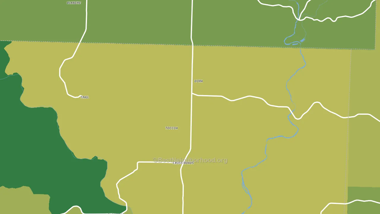 Dora, MO block-group voter-turnout map
