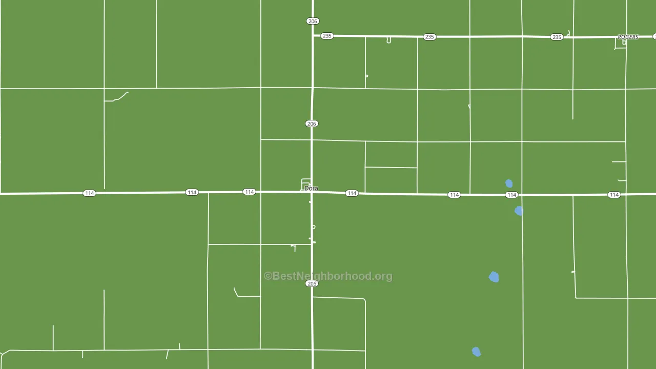 Dora, NM block-group voter-turnout map
