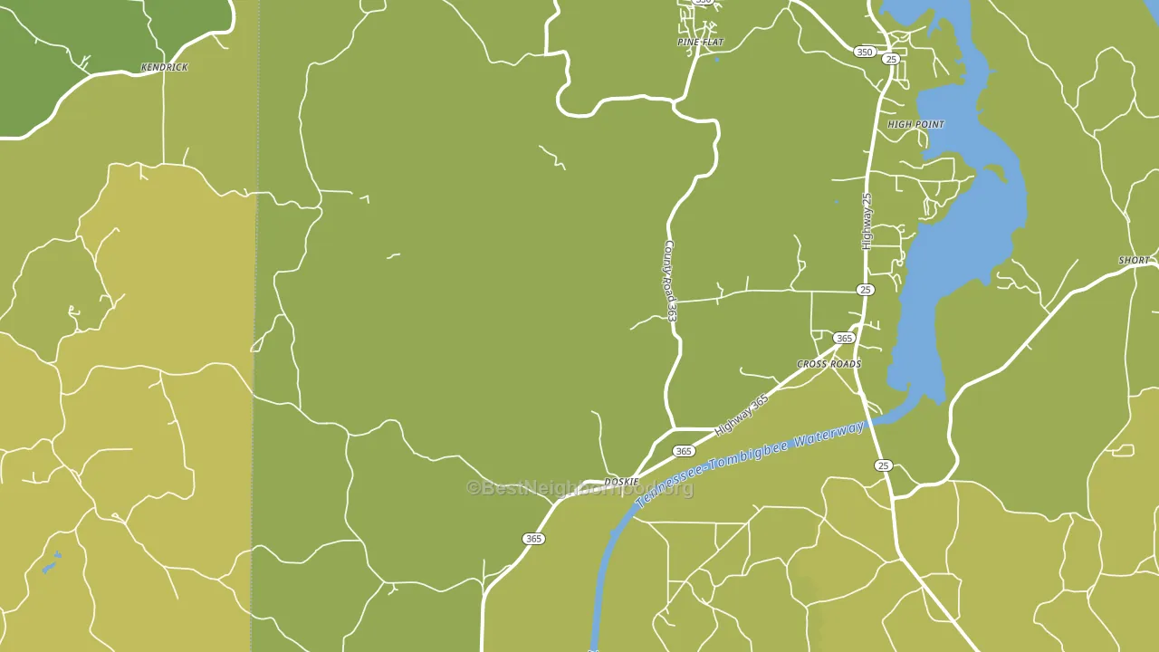 Doskie, MS block-group voter-turnout map