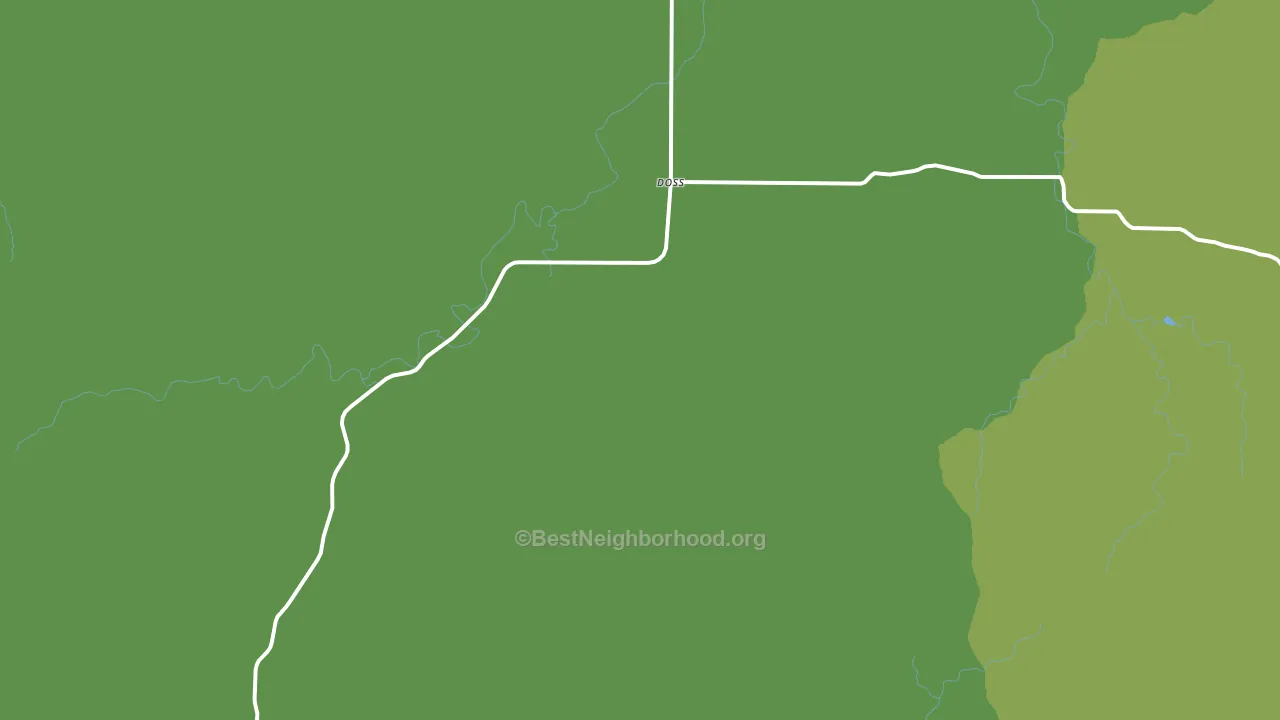 Doss, TX block-group voter-turnout map