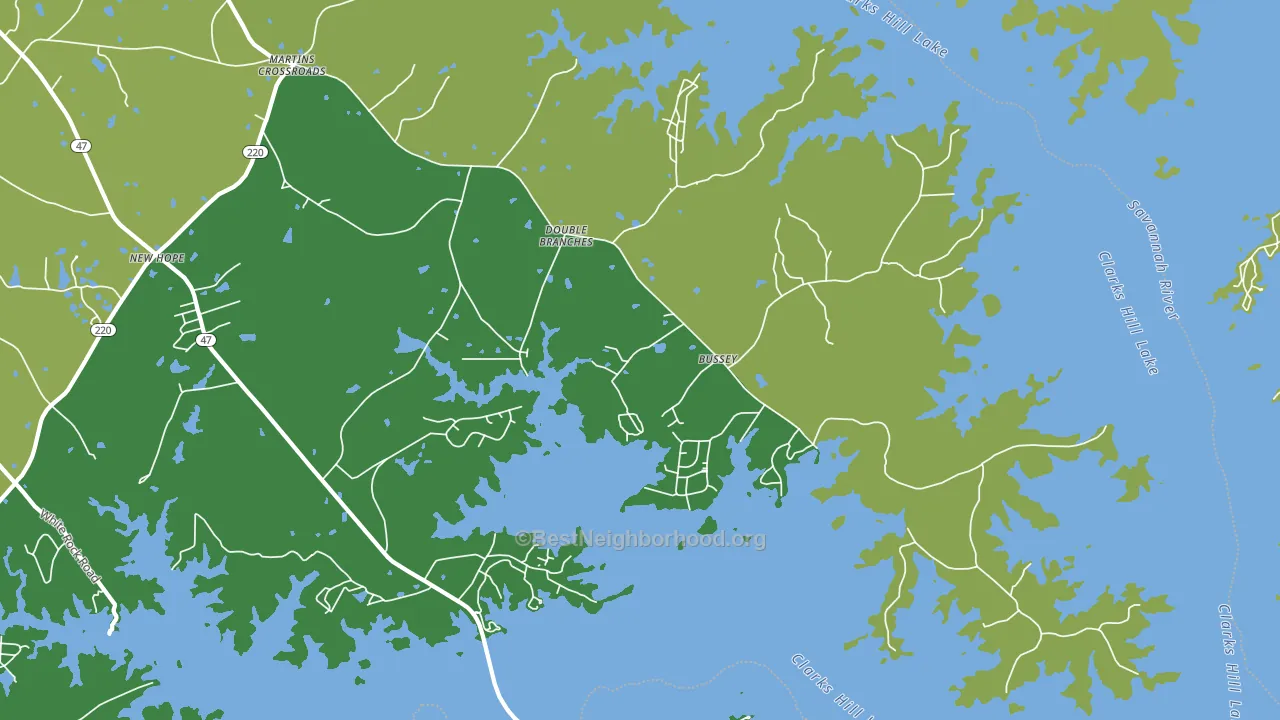Double Branches, GA block-group voter-turnout map