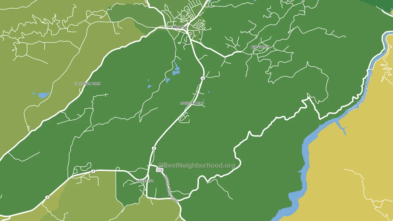 Douglas Flat, CA block-group voter-turnout map