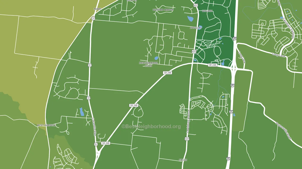 Douglas, TN block-group voter-turnout map