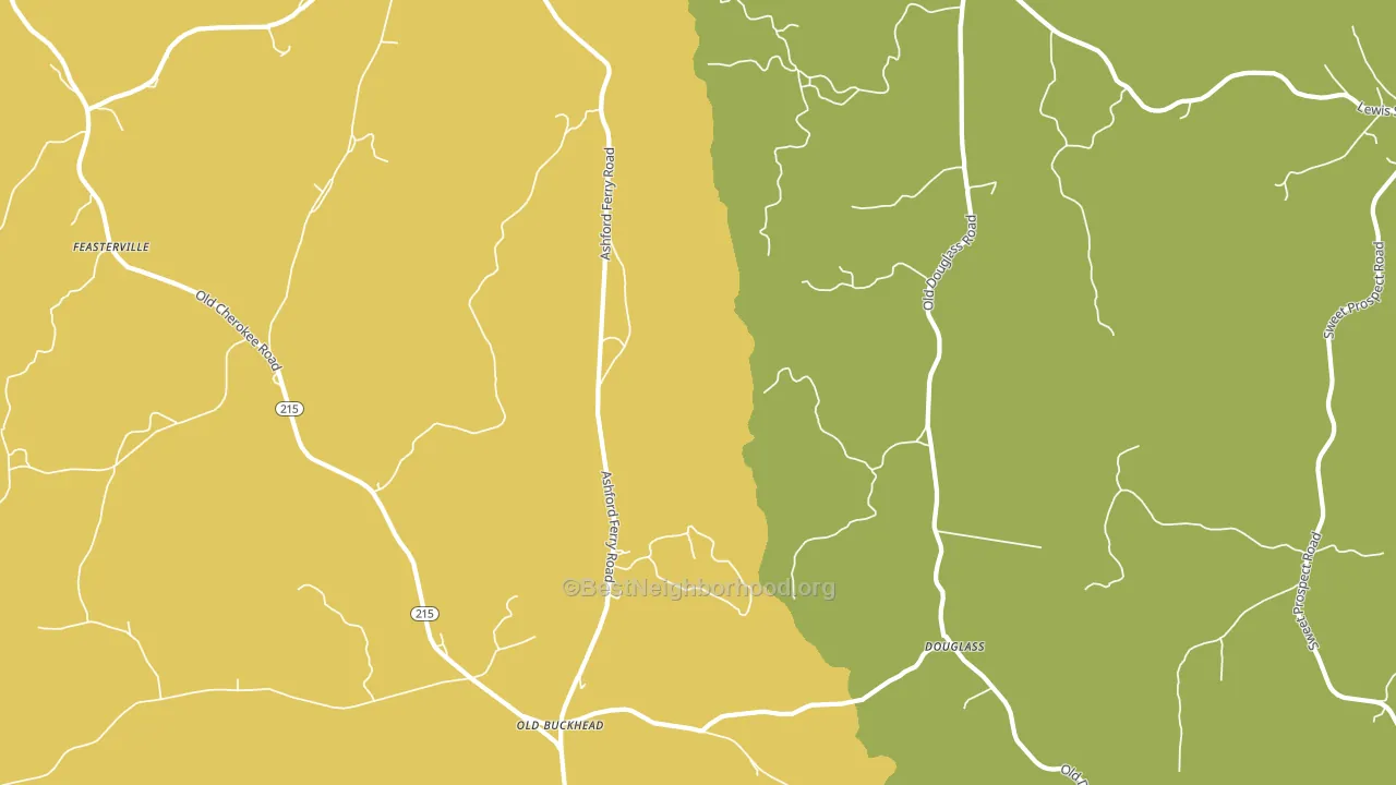 Douglass, SC block-group voter-turnout map