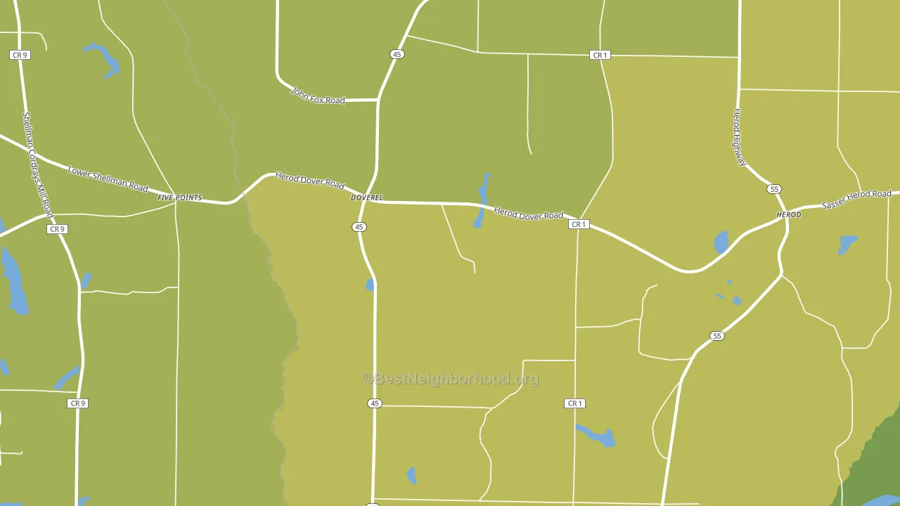 Doverel, GA block-group voter-turnout map