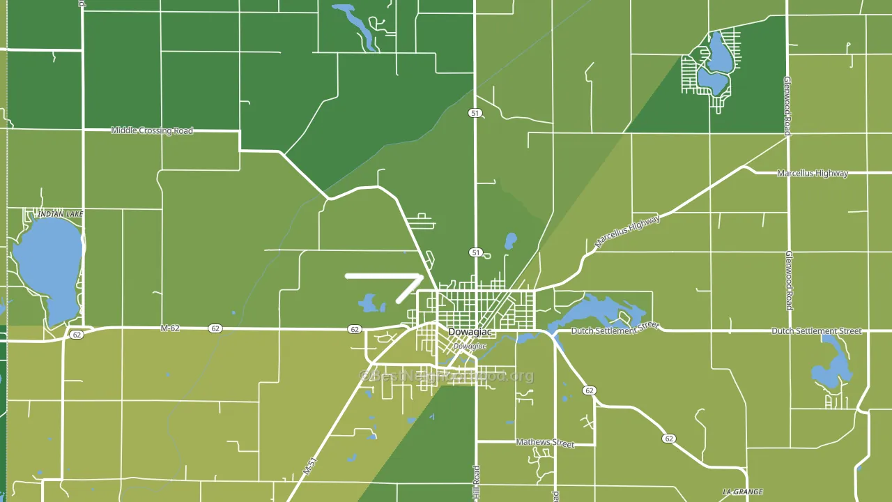 Dowagiac, MI block-group voter-turnout map