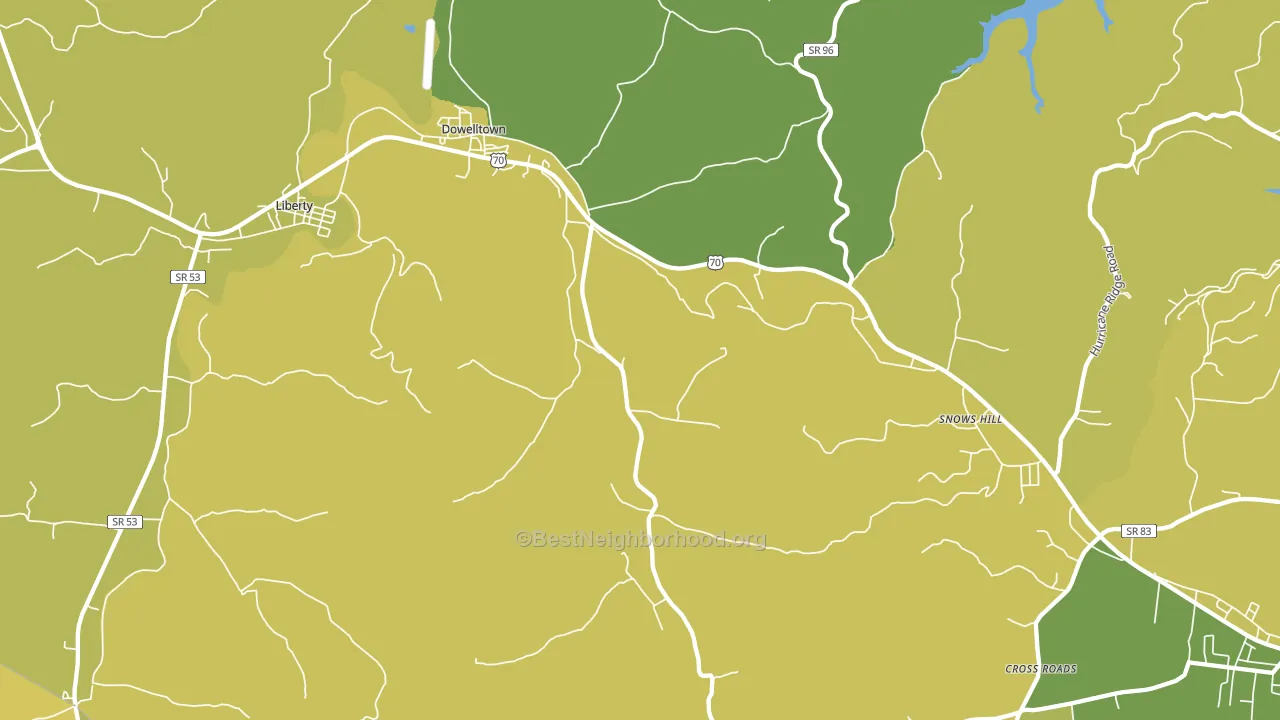 Dowelltown, TN block-group voter-turnout map
