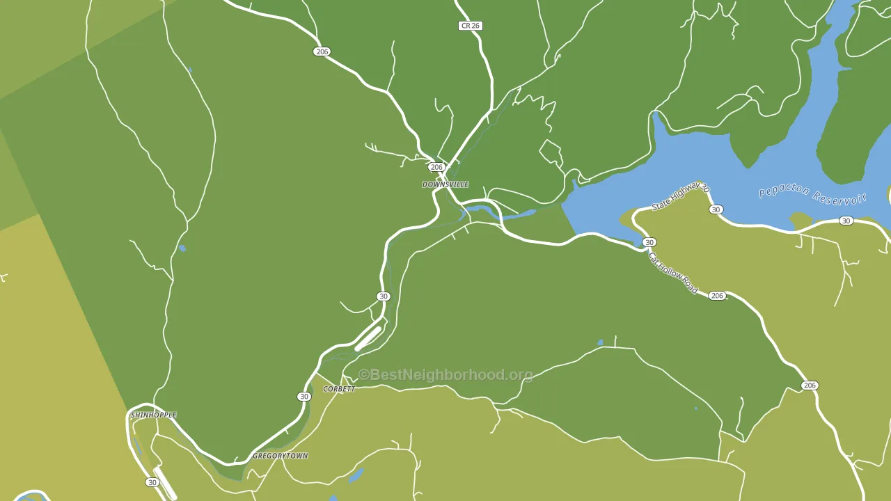 Downsville, NY block-group voter-turnout map