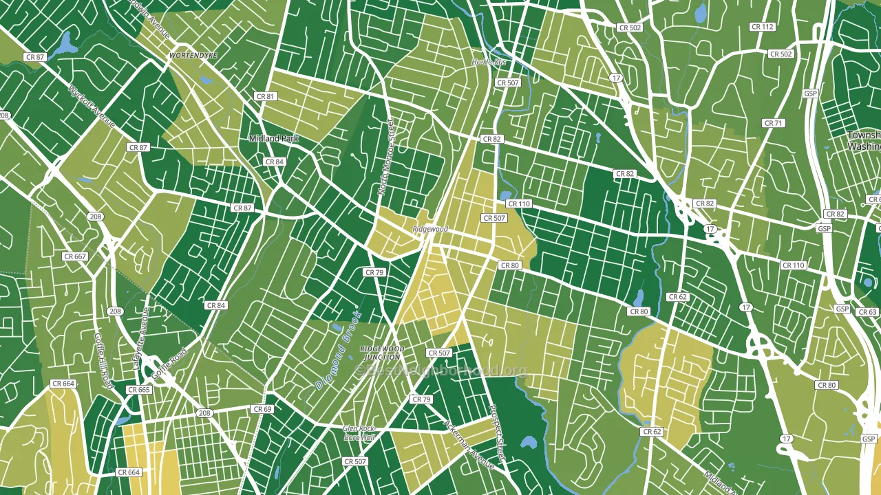 Downtown Ridgewood, Ridgewood, NJ block-group voter-turnout map