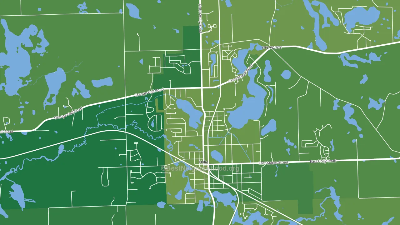 Downtown Village of Holly, Holly, MI block-group voter-turnout map