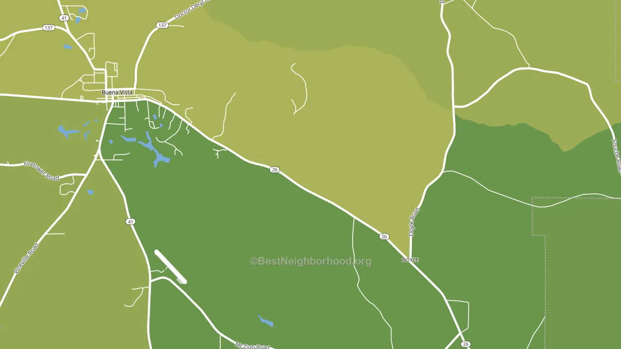 Doyle, GA block-group voter-turnout map