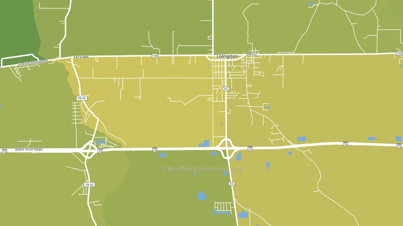 Doyle, LA block-group voter-turnout map