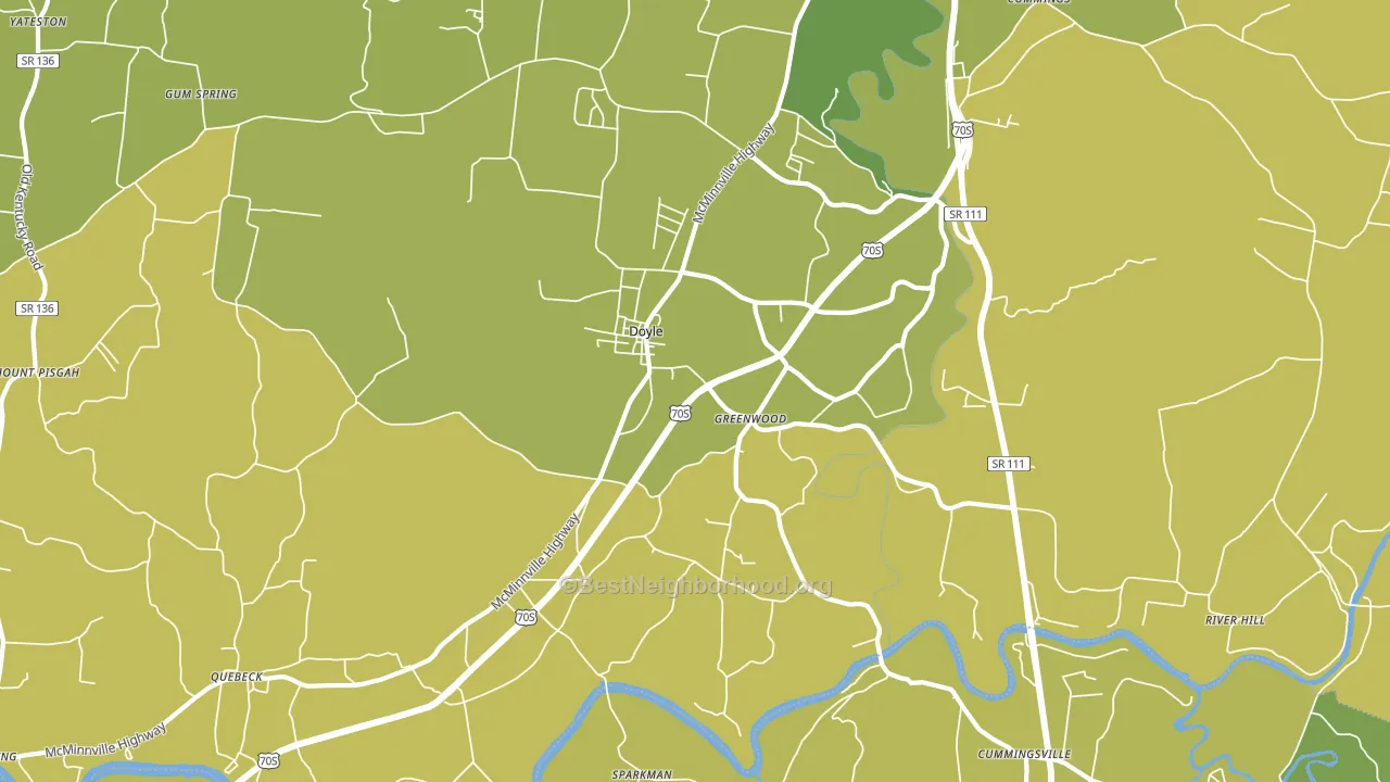 Doyle, TN block-group voter-turnout map
