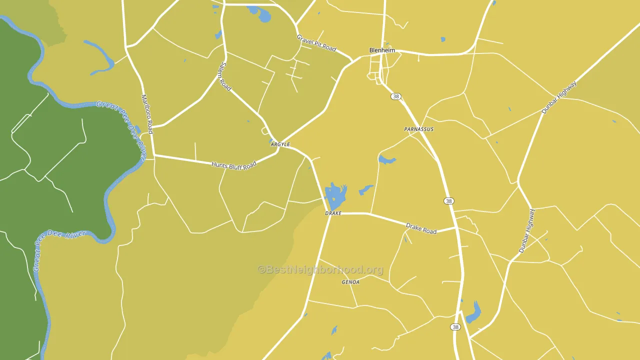 Drake, SC block-group voter-turnout map