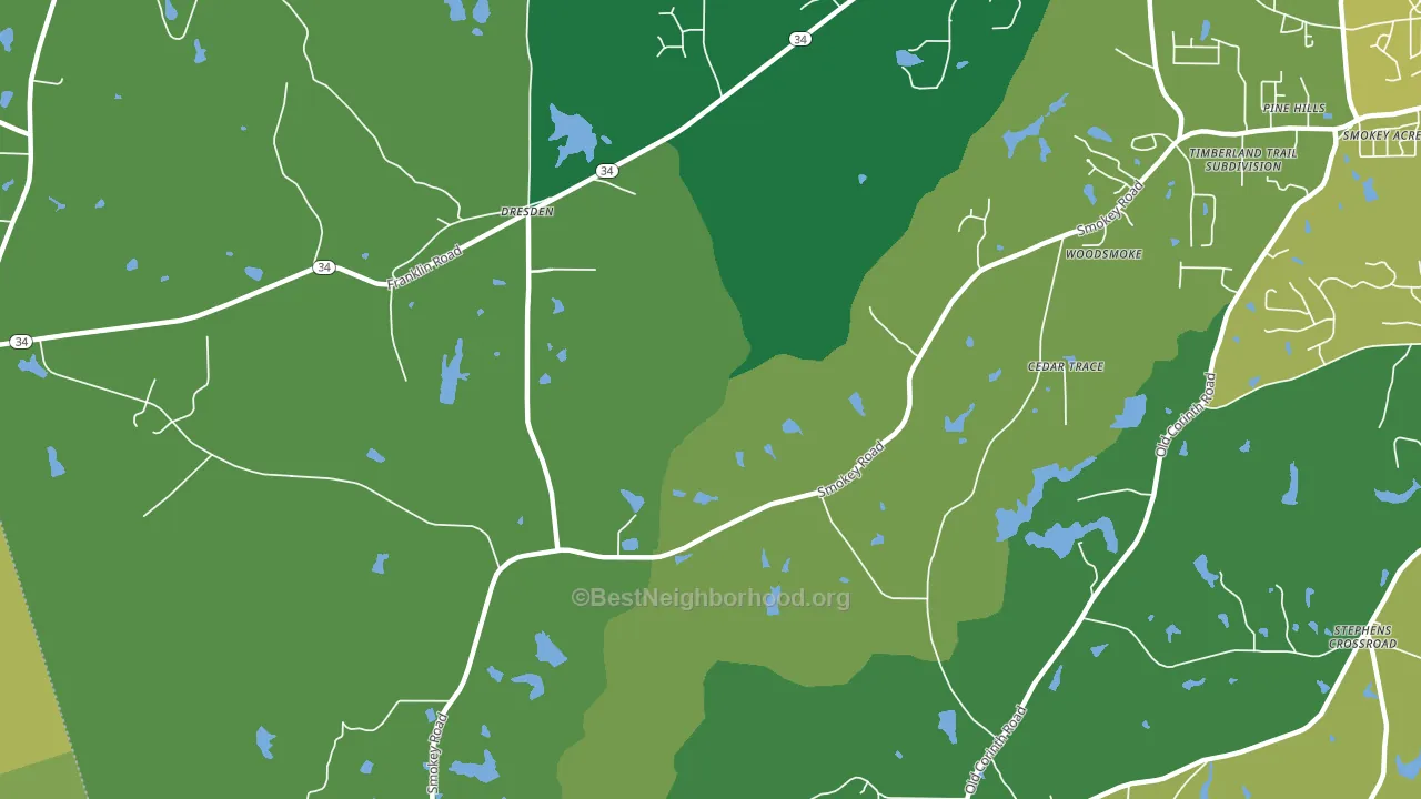 Dresden, GA block-group voter-turnout map