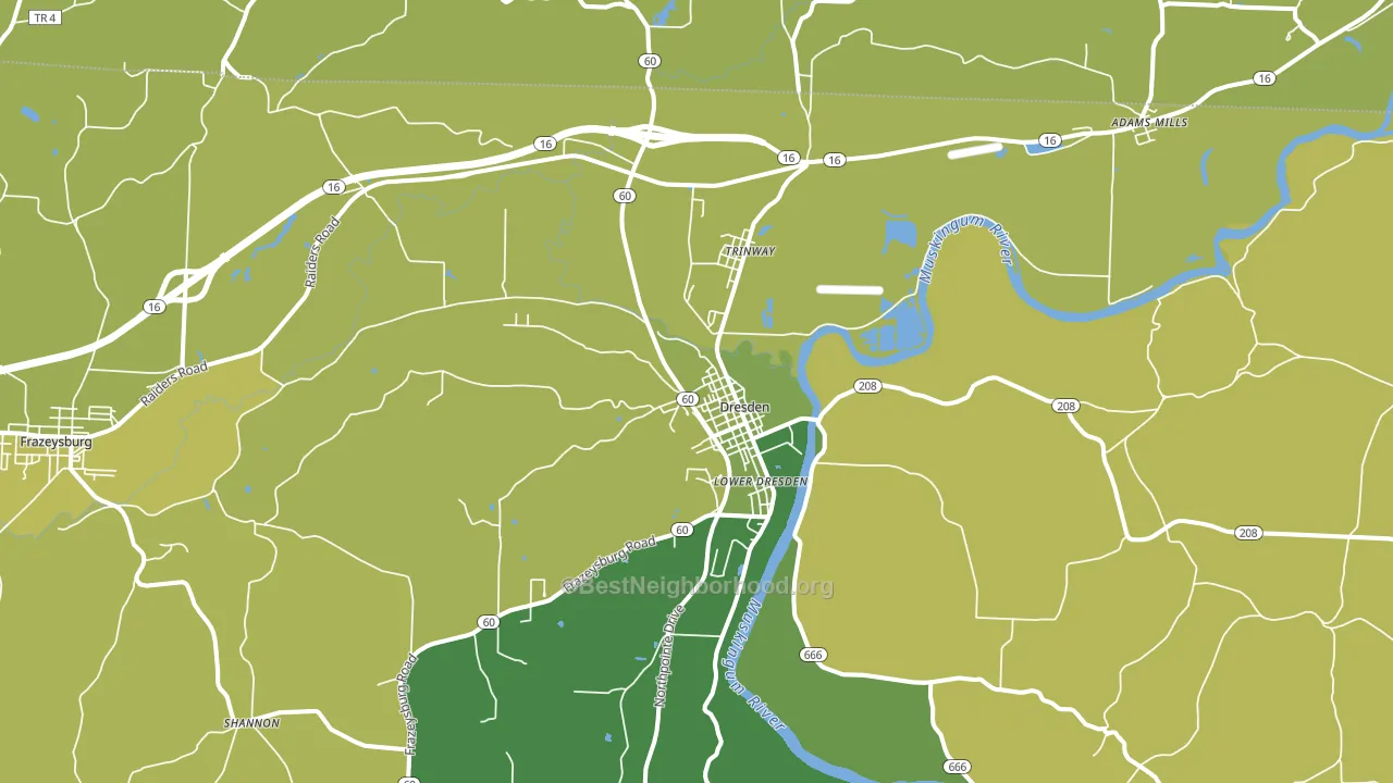 Dresden, OH block-group voter-turnout map