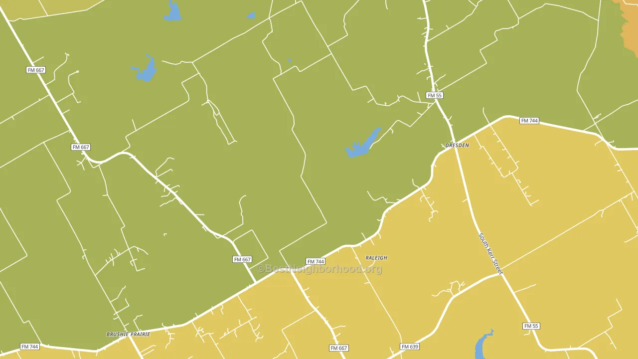 Dresden, TX block-group voter-turnout map