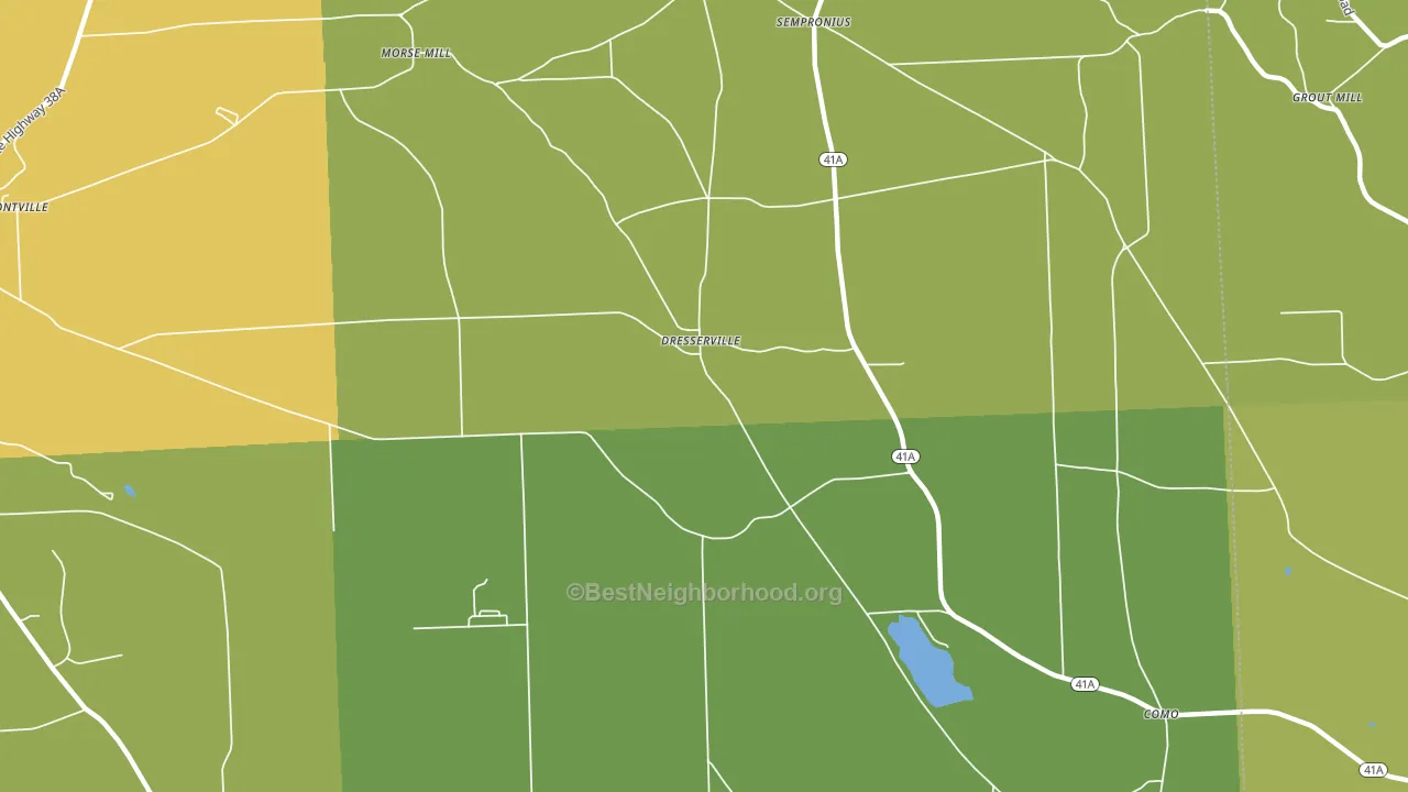 Dresserville, NY block-group voter-turnout map