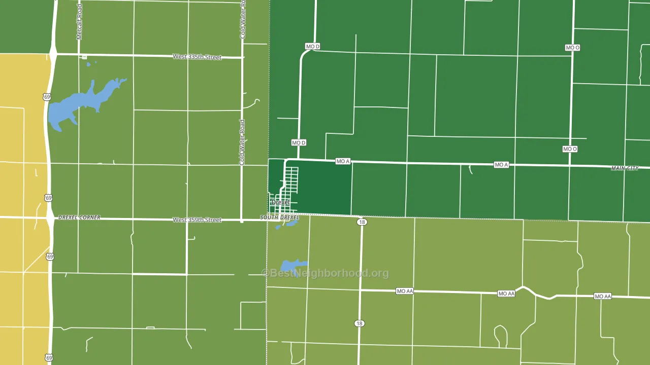 Drexel, MO block-group voter-turnout map