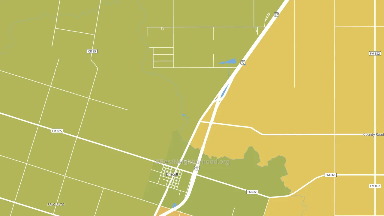 Driscoll, TX block-group voter-turnout map