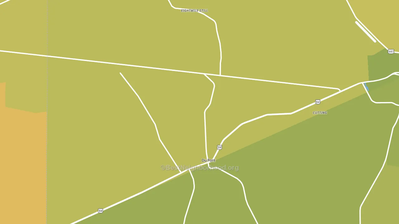 Du Pont, GA block-group voter-turnout map