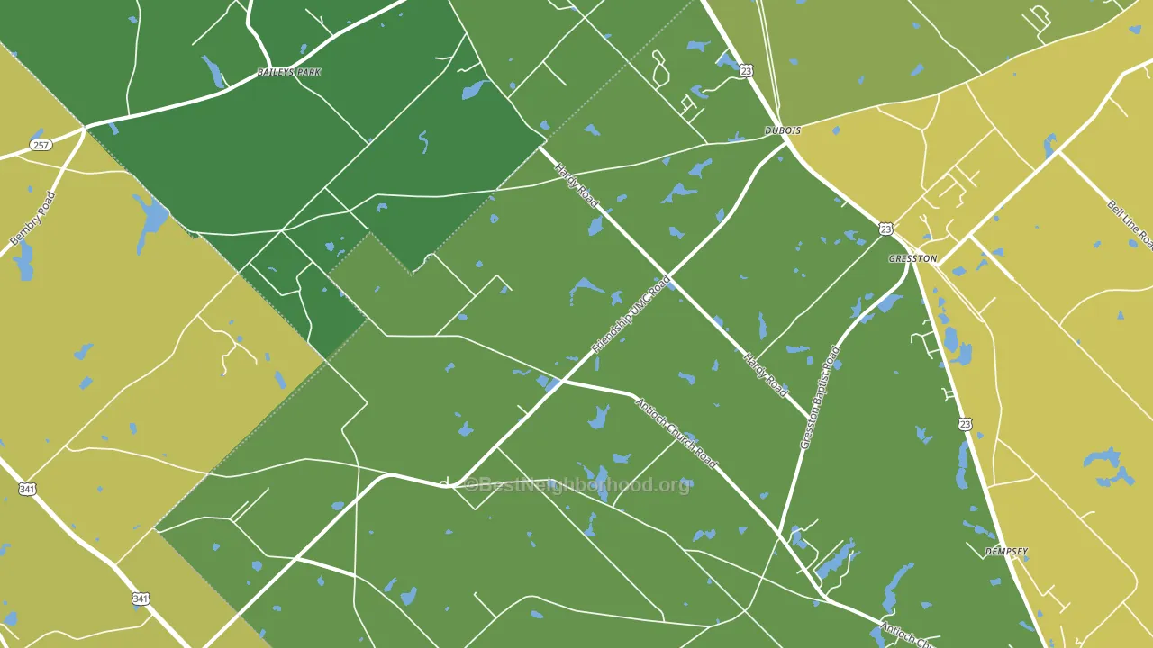 Dubois, GA block-group voter-turnout map