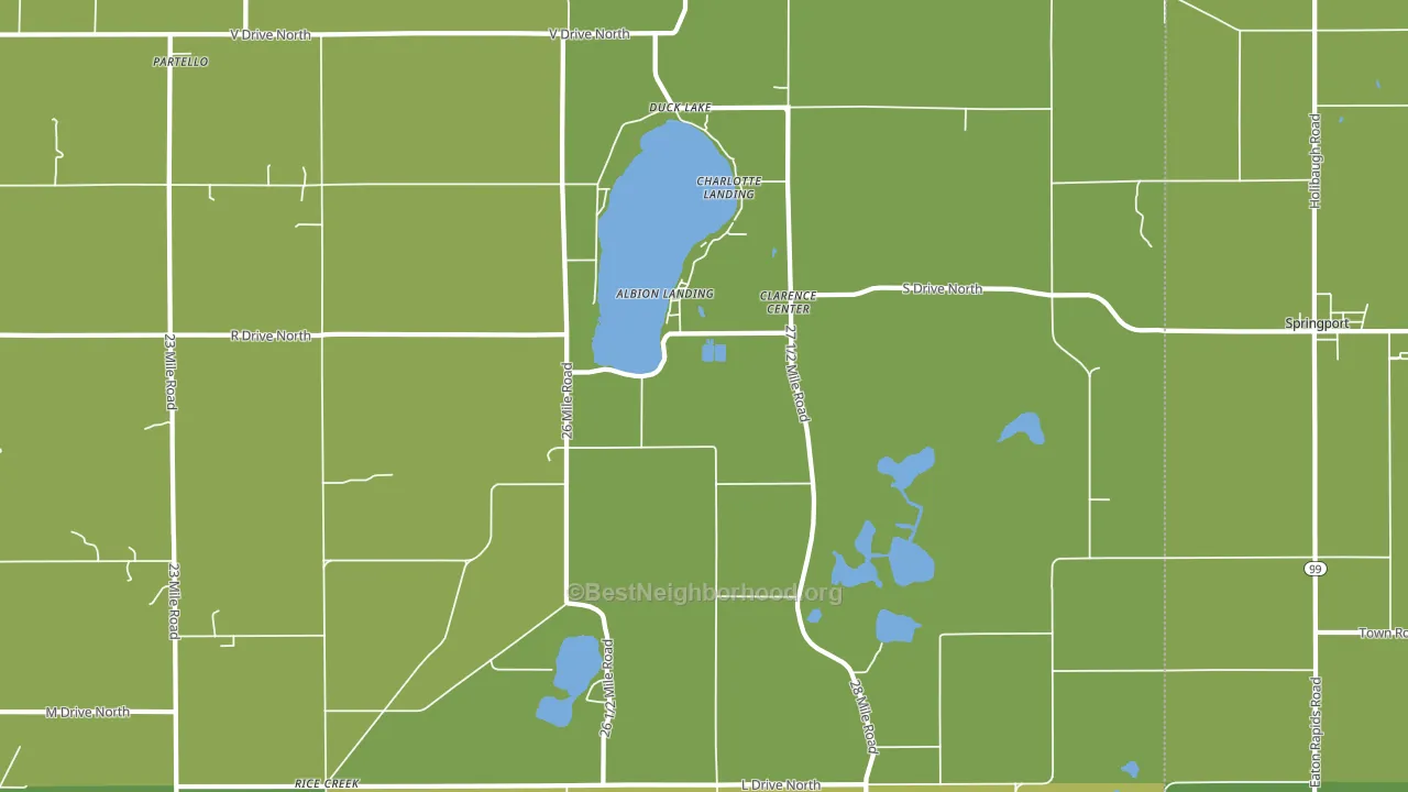 Duck Lake, MI block-group voter-turnout map