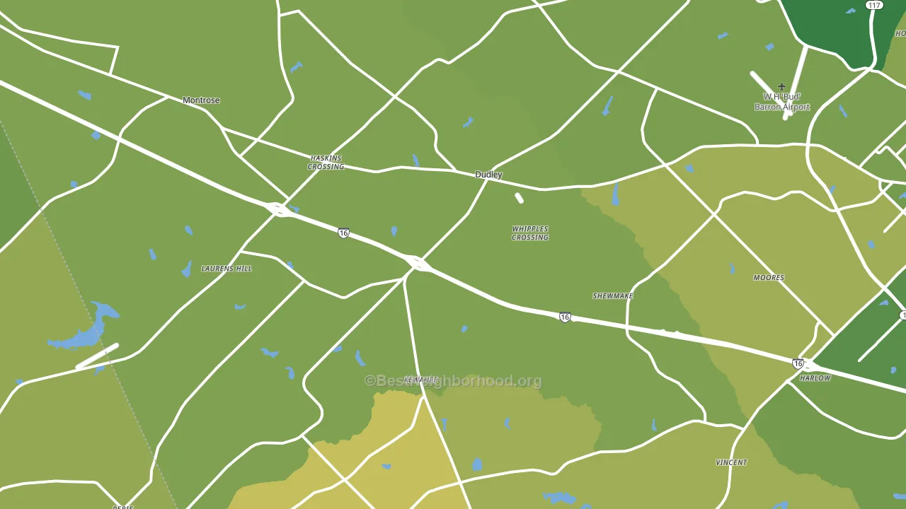 Dudley, GA block-group voter-turnout map