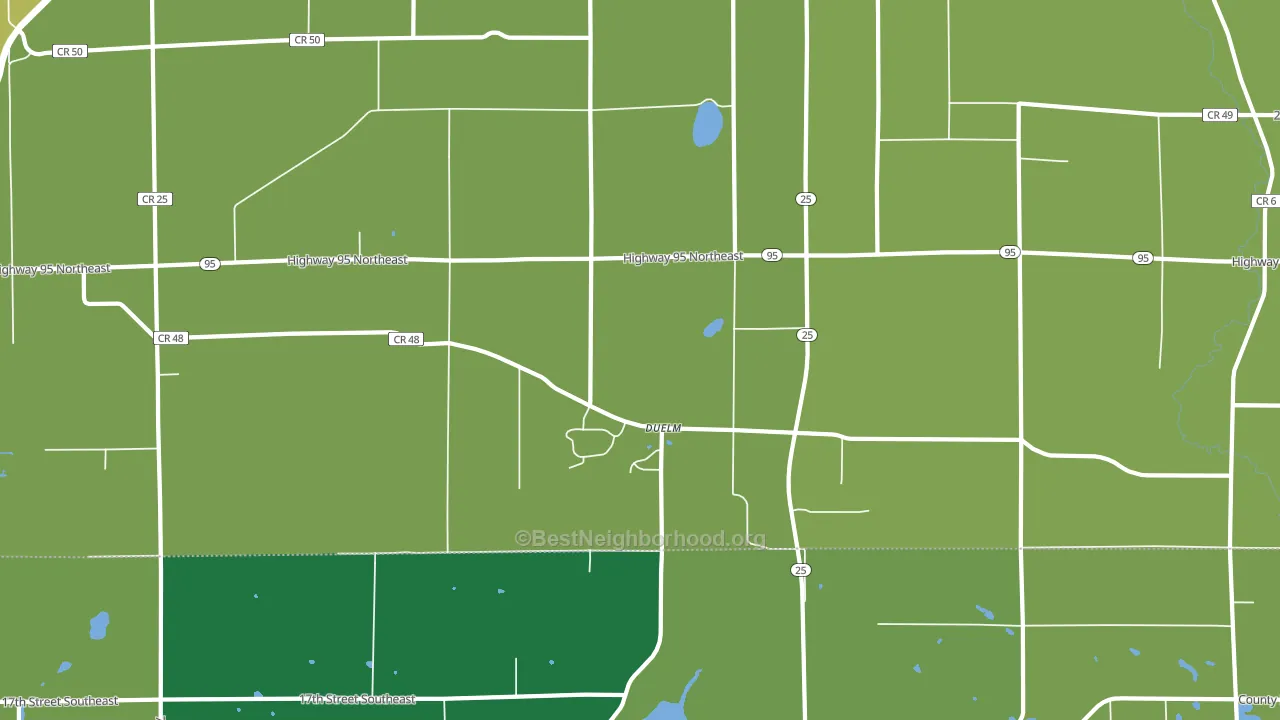 Duelm, MN block-group voter-turnout map