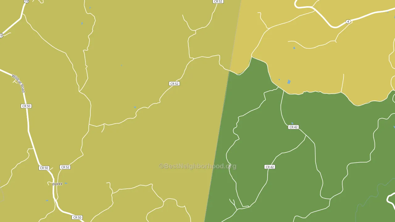 Duffy, WV block-group voter-turnout map