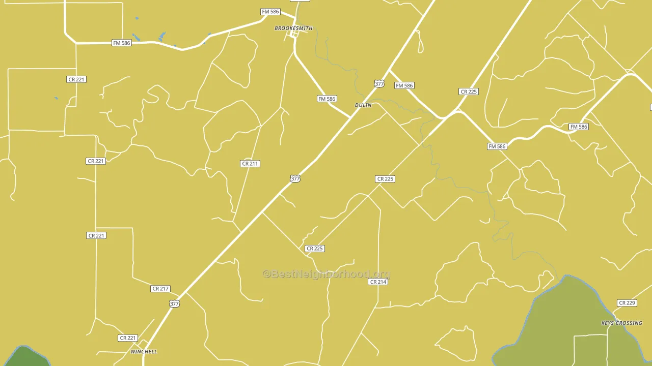 Dulin, TX block-group voter-turnout map