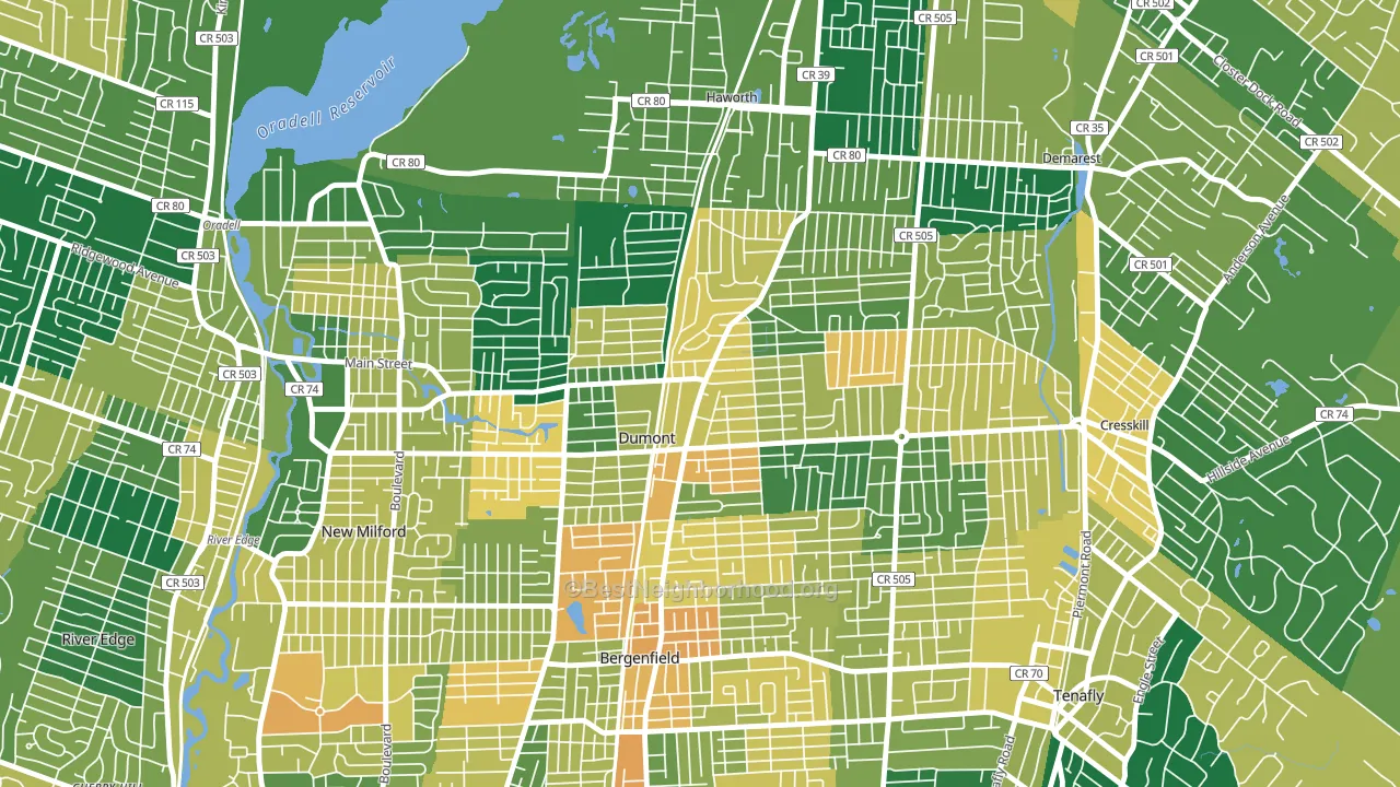 Dumont, NJ block-group voter-turnout map