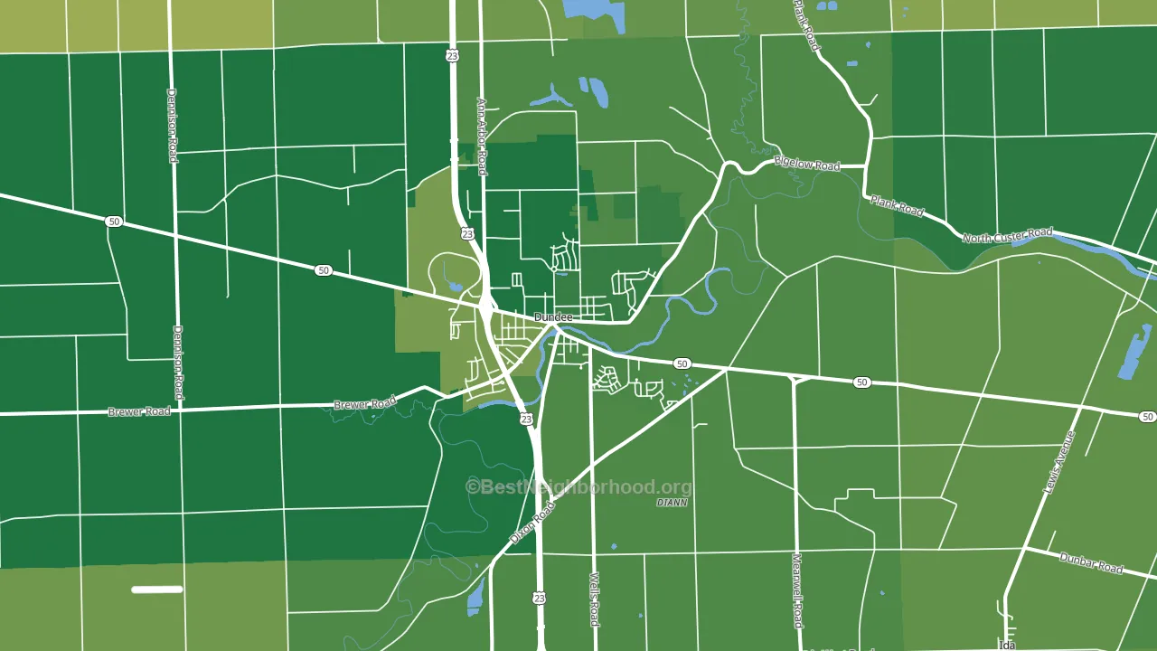 Dundee, MI block-group voter-turnout map
