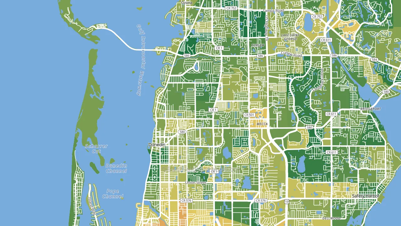Dunedin, FL block-group voter-turnout map