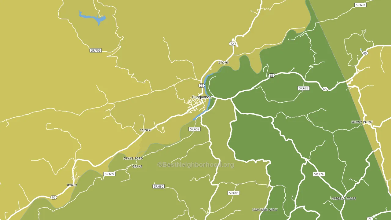 Dungannon, VA block-group voter-turnout map