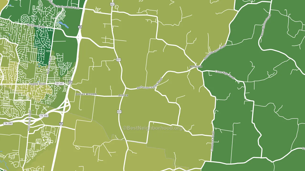 Duplex, TN block-group voter-turnout map