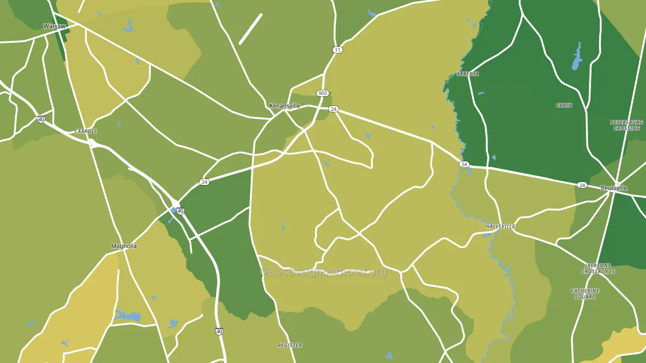 Duplin County, NC block-group voter-turnout map