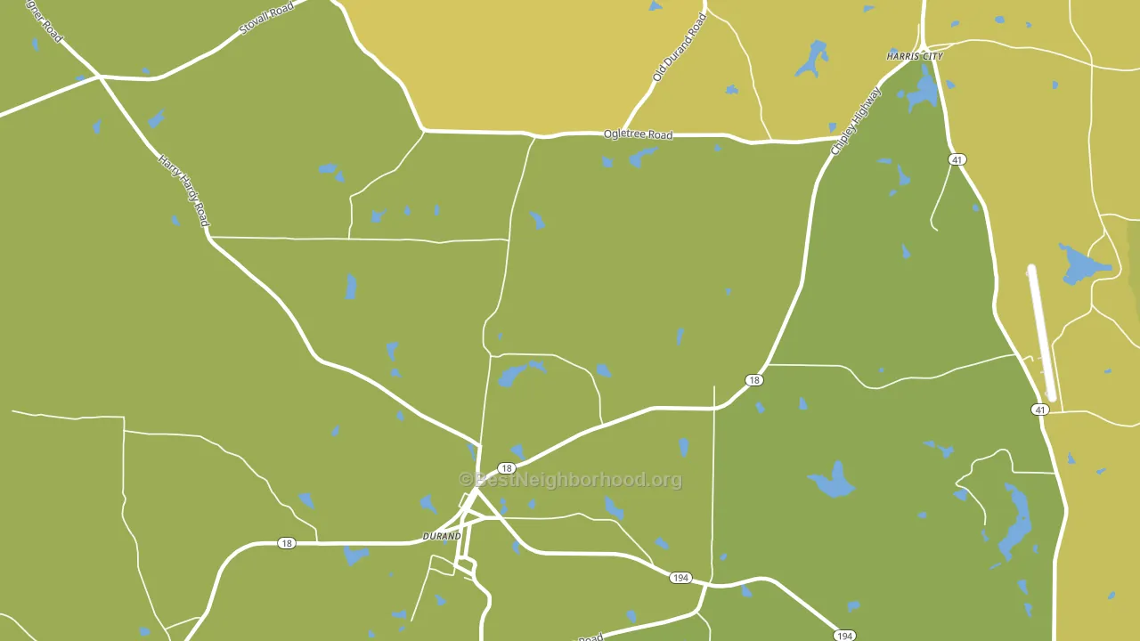 Durand, GA block-group voter-turnout map