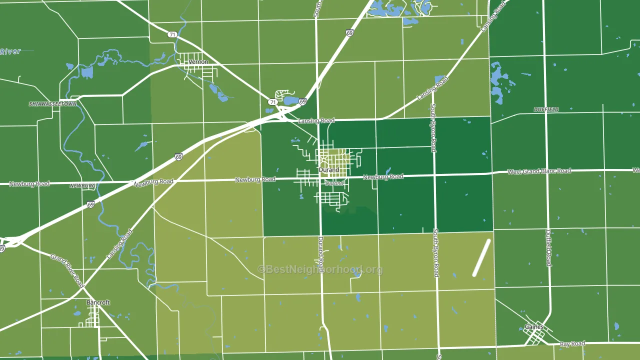 Durand, MI block-group voter-turnout map