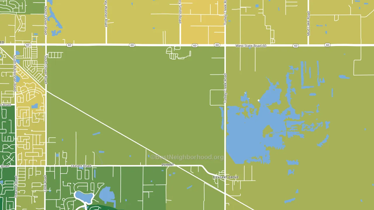 Durant, FL block-group voter-turnout map