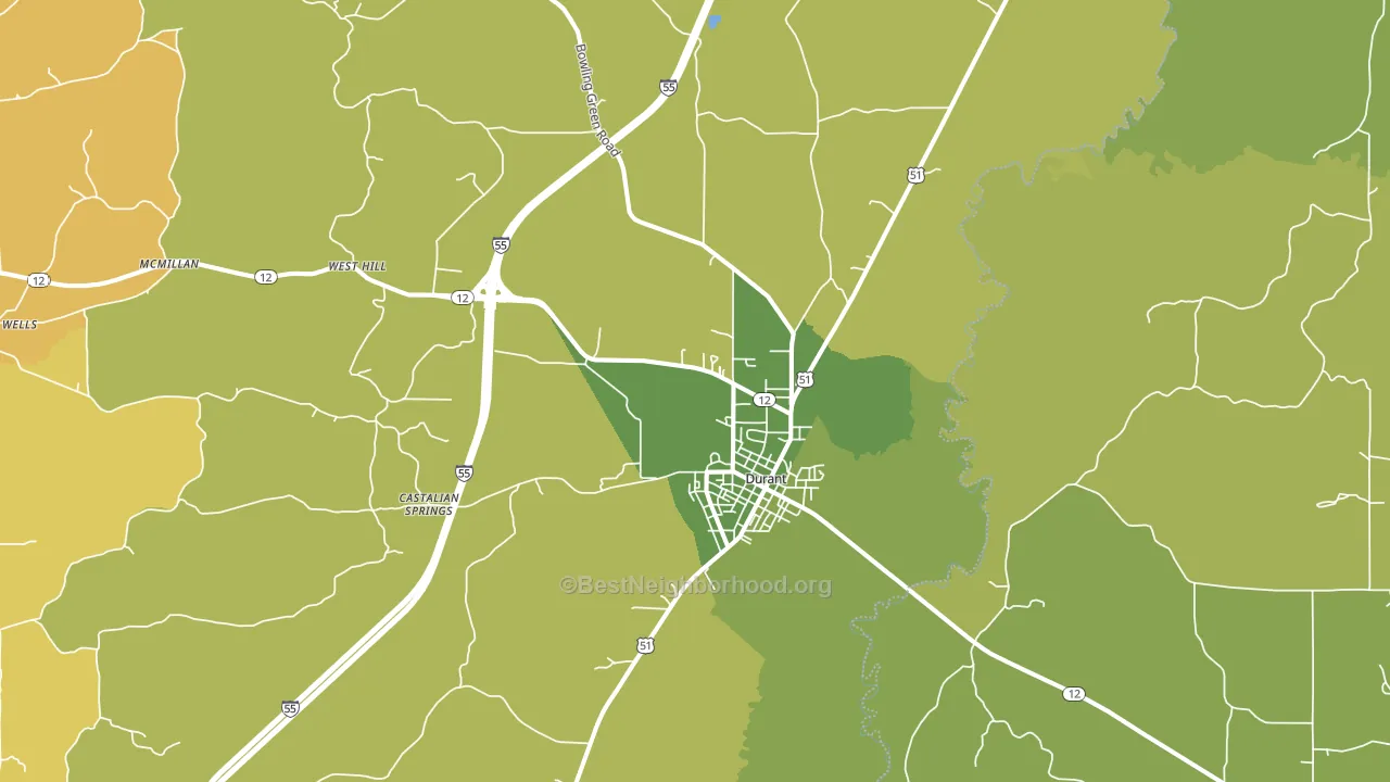 Durant, MS block-group voter-turnout map