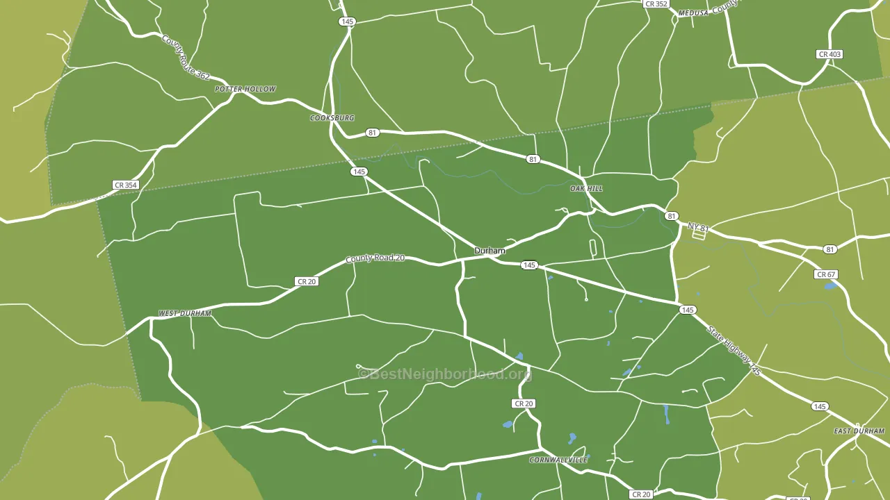 Durham, NY block-group voter-turnout map