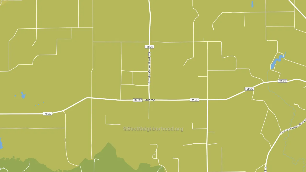 Duster, TX block-group voter-turnout map