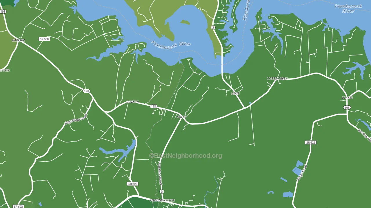 Dutton, VA block-group voter-turnout map