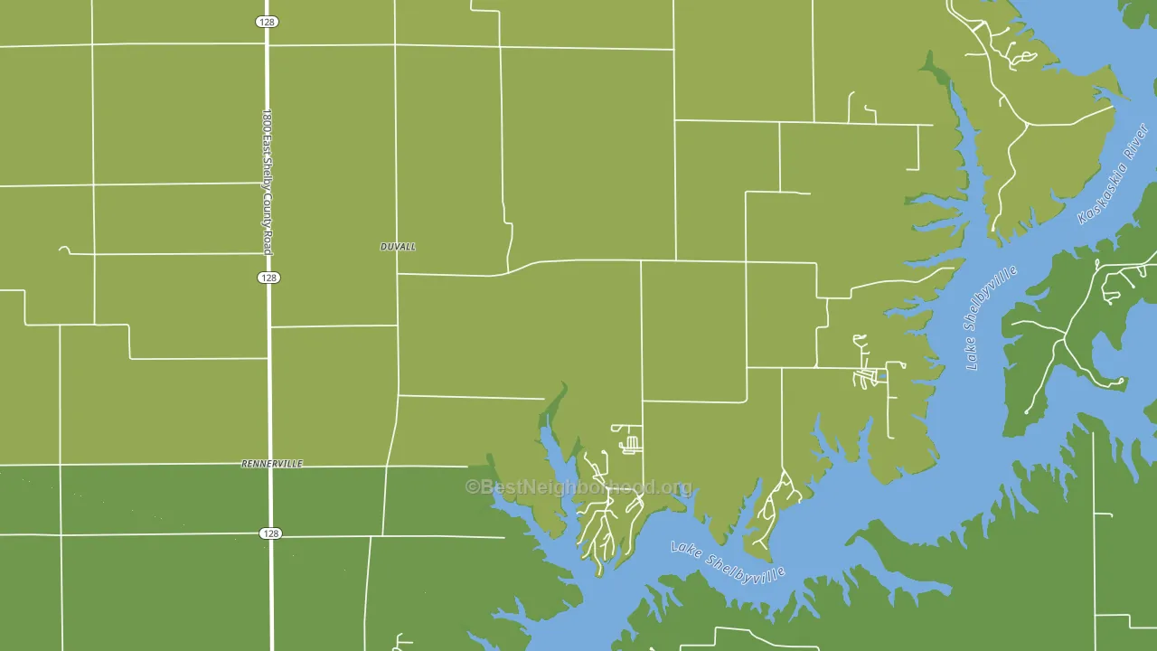Duvall, IL block-group voter-turnout map