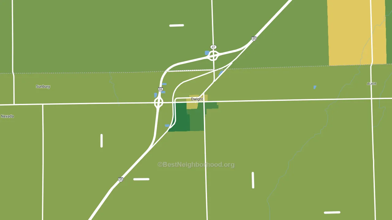Dwight, IL block-group voter-turnout map